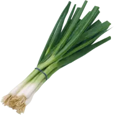 Spring Onions 1 Bunch