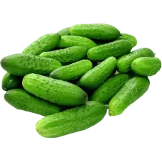 Fresh Cucumbers 6kg