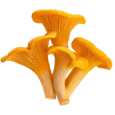 Fresh Chanterelles 200g