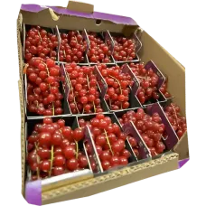 Fresh Redcurrant ~250g pcs