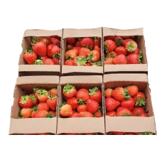 Fresh Strawberries ~1kg pcs