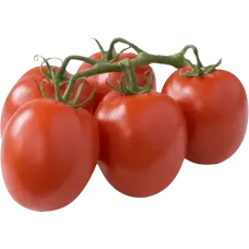 Vine Tomatoes 5kg Box