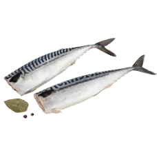 Dauparu Zuvis - Delikatesine Salted Mackerel ~3kg
