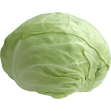 White Cabbage kg