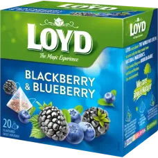 Loyd - Pyramids Fruits Tea Blackberry and Blueberry 20x2g