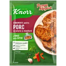 Knorr - Spices for Pork with Garlic 25g
