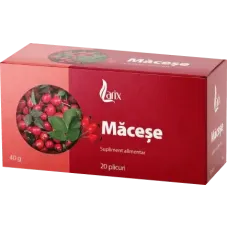 Larix - Rosehip Tea 20x2g