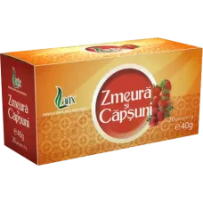 Larix - Rapsberry and Strawberry Tea 20x2g