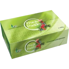 Larix - Forest Fruits Tea 100x2g