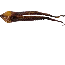 Rusnes Zuvis - Hot Smoked Squid Tentacles kg