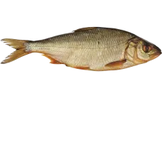 Rusnes Zuvis - Hot Smoked Twait Shad kg