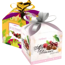 Magnat - Mix of Pralines with Raspberry Cherry and Nut Fillings 413g