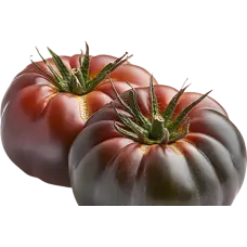Fresh Purple Tomatoes kg