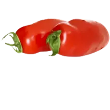 Fresh Pepper Tomatoes kg