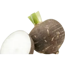 Fresh Black Turnip kg