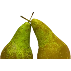Fresh Pear Mloda kg