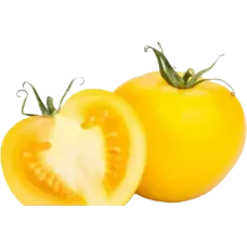 Fresh Yellow Tomatoes kg