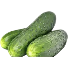 Fresh PL Cucumbers kg
